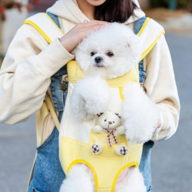 [담요 증정] 푸르픽 봄 강아지 앞포대기 앞가방 기내용 이동장 대형견가능 곰돌이, 1개