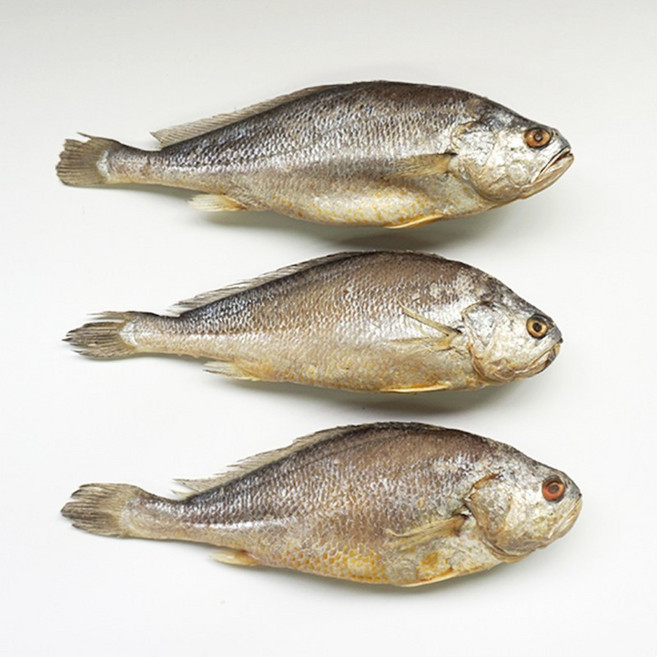 반건조 부세 조기 5마리 특대 배안갈라진 큰조기 제수용 내장손질 제수용생선, 270g, 5개