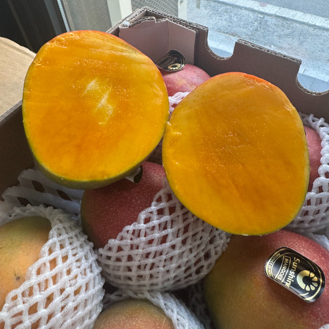 고당도 프리미엄 페루 애플망고, 1박스, 2kg (4~5과)