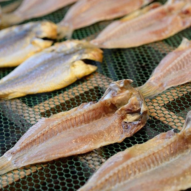 국내산 반건조 민어 구이 찜 탕용 제수용, 8개, 240g내외