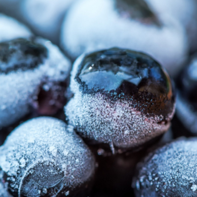 [재구매율1위!] 하루30박스만 국내산 냉동 아로니아, 1박스, 5kg (최상품_꼭지있음)