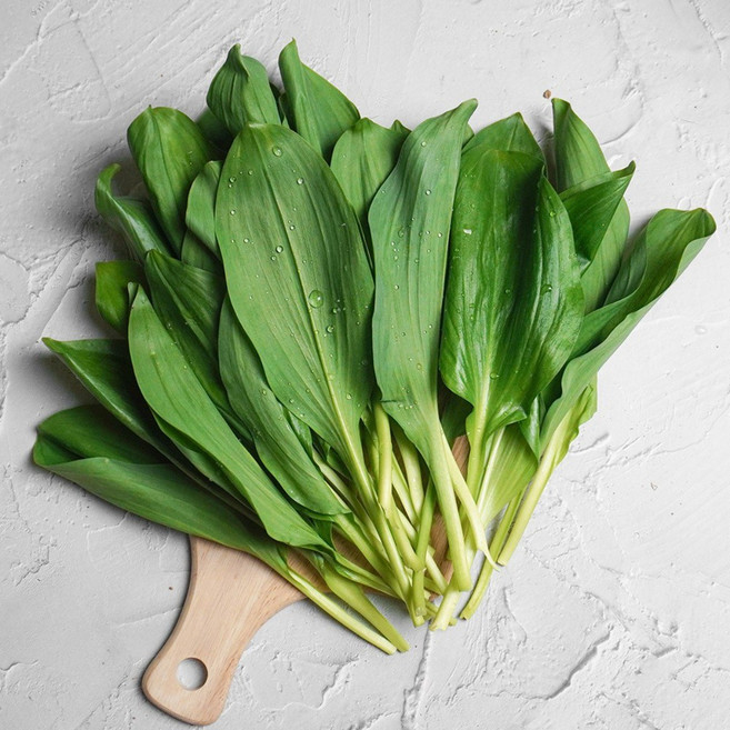 [더조은푸드] 신선한아침 우리땅 깨끗한 강원 정선 제철 명이나물, 500g, 1박스