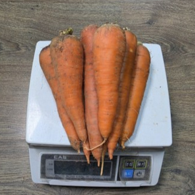 100% 유기농 친환경 당근, 1박스, 쥬스,즙용 3kg