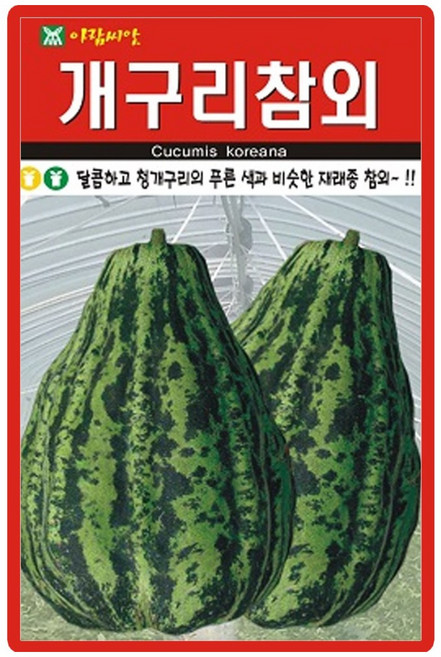 아람종묘 개구리참외 씨앗 50립 재래종 참외씨 종자, 1개