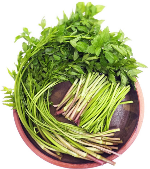 [산지직송] 경북 청도 미나리 200g+200g 오늘 아침 갓 수확한 싱싱함, 200g, 4개