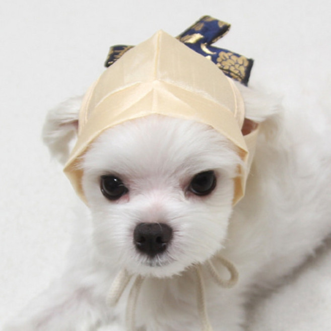 도기코디 금박 복건 강아지한복 모자, 베이지, 1개