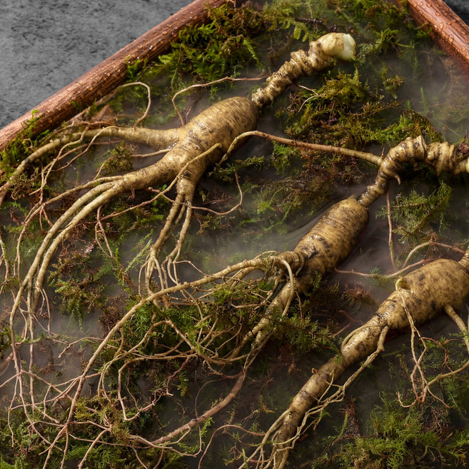 <1뿌리 증정!!>8-9년근 국내산 산양삼 3뿌리 선물세트 / 장뇌삼 산삼 진상품산삼, 7g, 3개