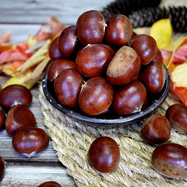 햇밤 2025년 햇 부여알밤 / 대 사이즈/ 국내산 부여햇밤, 1개, 2kg