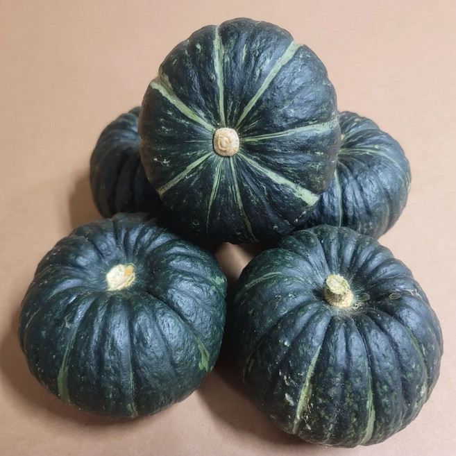[특가세일] 해피팜제주 미니밤호박 보우짱 단호박 3kg 5kg 10kg, 1박스, 밤호박 특품 10kg