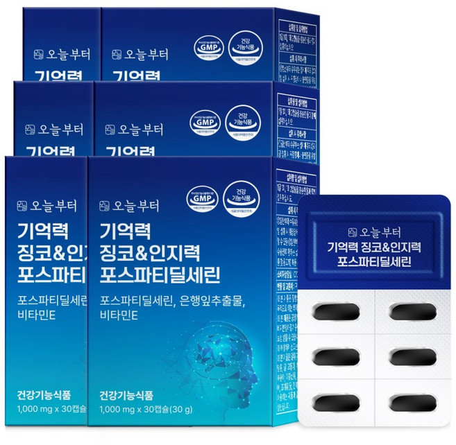 오늘부터 기억력 징코 인지력 포스파티딜세린, 30정, 6개