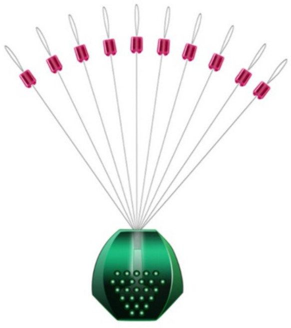 SUNFC 실리콘 빨콩 포인트 (10알), 대