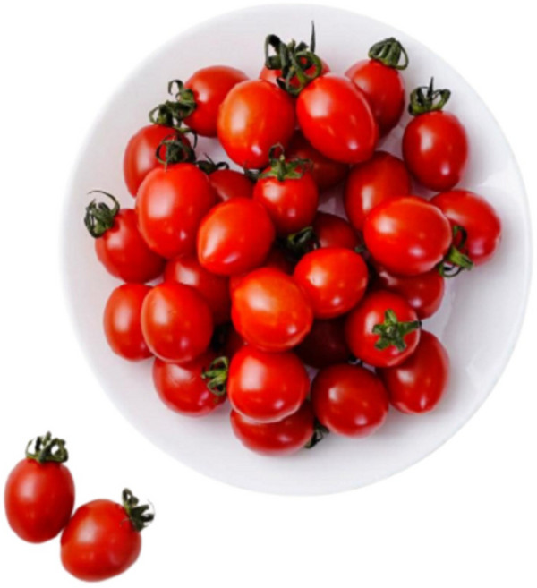 [지앤에프농업회사] 과즙팡팡 아삭아삭 대추방울 토마토 당일수확 당일발송 로얄과 엄선, 1kg 로얄과, 1박스