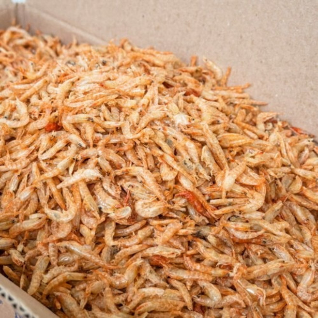 오늘의바다 국산 햇 상급 보리새우 마른새우 (당해 생산), 800g, 1개