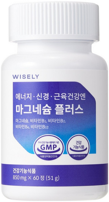 와이즐리 에너지 신경 근육 건강엔 마그네슘 플러스(2개월분), 60정, 1세트