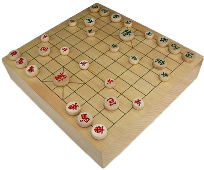 육형제 장기세트 신비자특허3호원형+나무목장기알, 1개