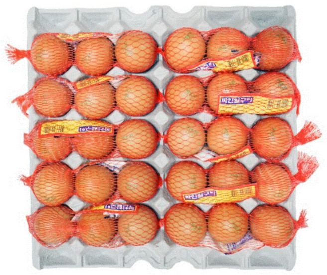 [BIGHAND] 큰손_망사대란! 120구! #네판, 4개, 30구