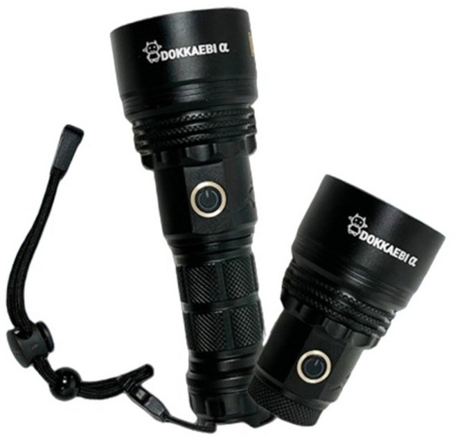 다사가 도깨비 알파 중층 써치 내림 올림 찌보기 써치라이드 서치라이트 [선착순 사은품], 1개, 도깨비알파 블랙