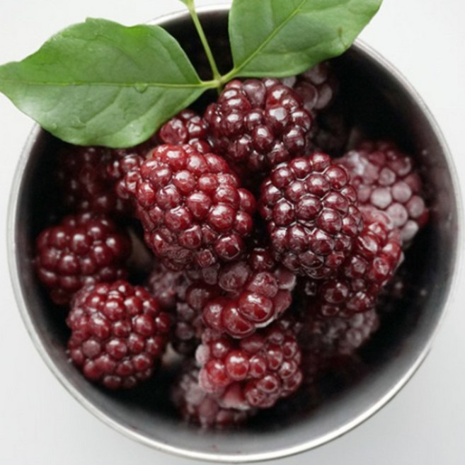 [프레시데이] 고창 슈퍼 복분자 블랙베리 냉동 생과, 1개