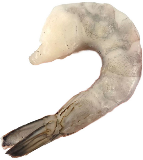 씨기프트 칵테일새우 특품 특대 사이즈 45-48미 생 새우살 냉동 깐새우 감바스용, 1개