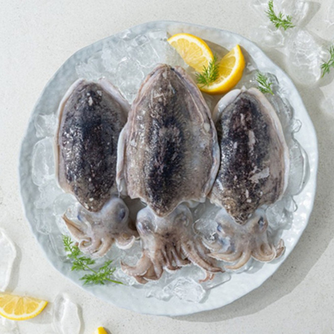 산지직송 서해 자연산 당일조업 생물 갑오징어 1kg(2-4미) 통마리 숙회용, 1개, 1kg(4-6미)