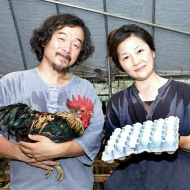 자연을품은 청계란 난각번호1 자연방사 순수 노란알없음 내일배송 통일 청란 유정란 고성 금강초계 유명호텔납품중 금강산물 발효사료 독성을 씻는 자활수 EM 이온수 MSM 유황, 1개, 20구