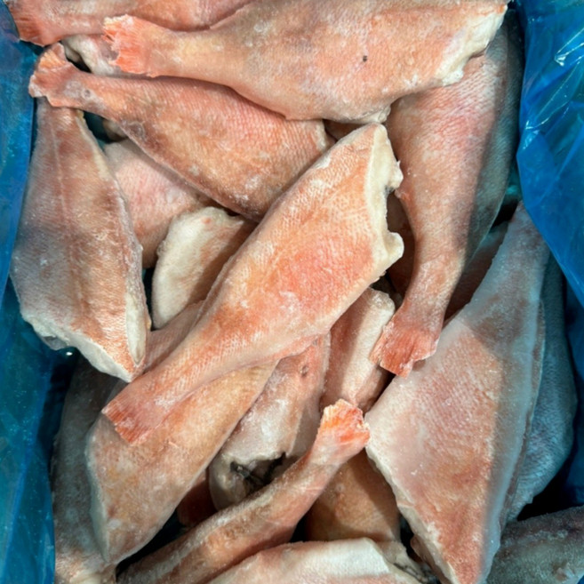 대길푸드 손질 적어 붉은볼락(냉동) 150/200 4kg 열기생선, 1개, 4kg 150/200사이즈(약20-30미)