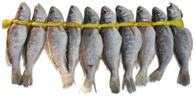 푸드마을 민어 굴비 조기 1두릅 (10마리) 1.6kg 내외, 민어 굴비(10마리), 1개