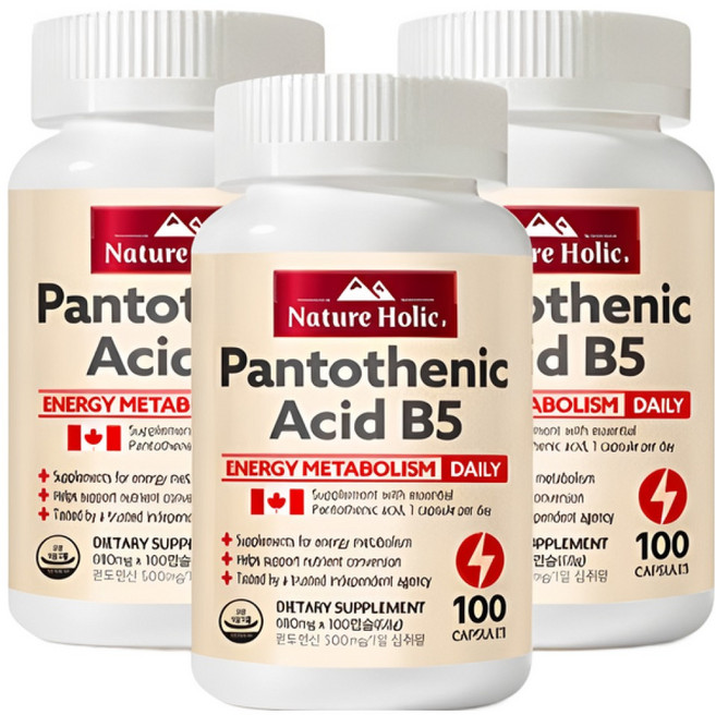 네이처홀릭 판토텐산 B5 500mg 3병 총 300캡슐, 100회분, 3개
