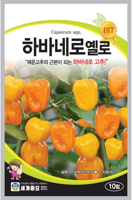하바네로고추씨앗 10립 [26년포장] 노란색 매운고추종자, 1개
