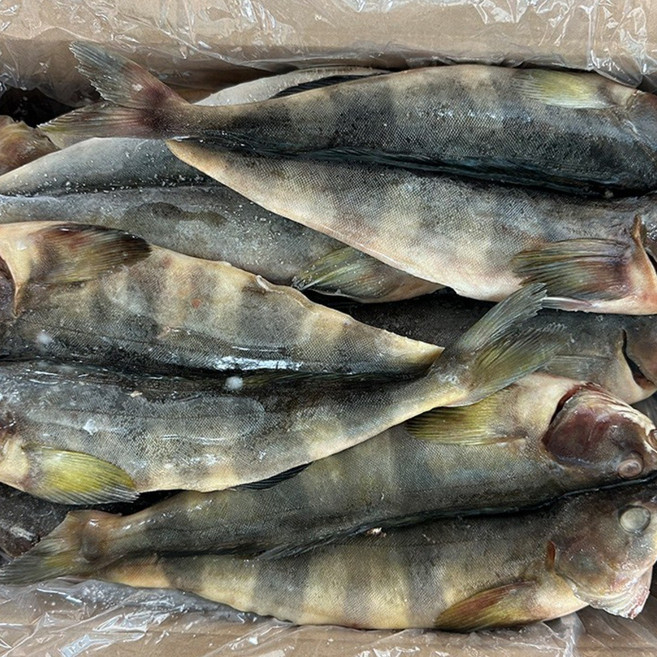 힘찬푸드 냉동 임연수할복 버터플라이, 1박스, 20마리전후(5kg)