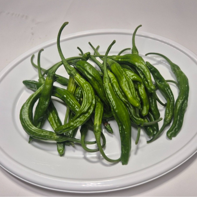 (GAP인증)강원도 특 꽈리고추 100%국내산, 1박스, 꽈리고추1kg