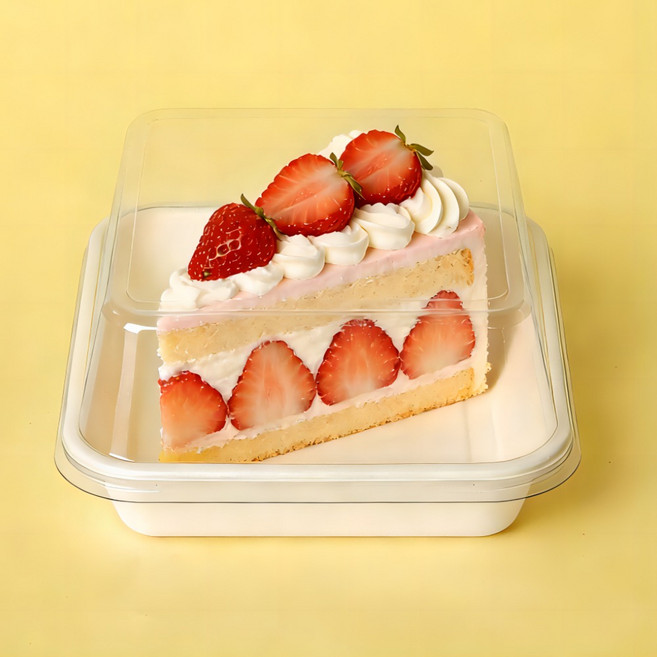 씨케이라이브 일회용 디저트 케이크 트레이 도시락포장 펄프용기, 50개, 1세트