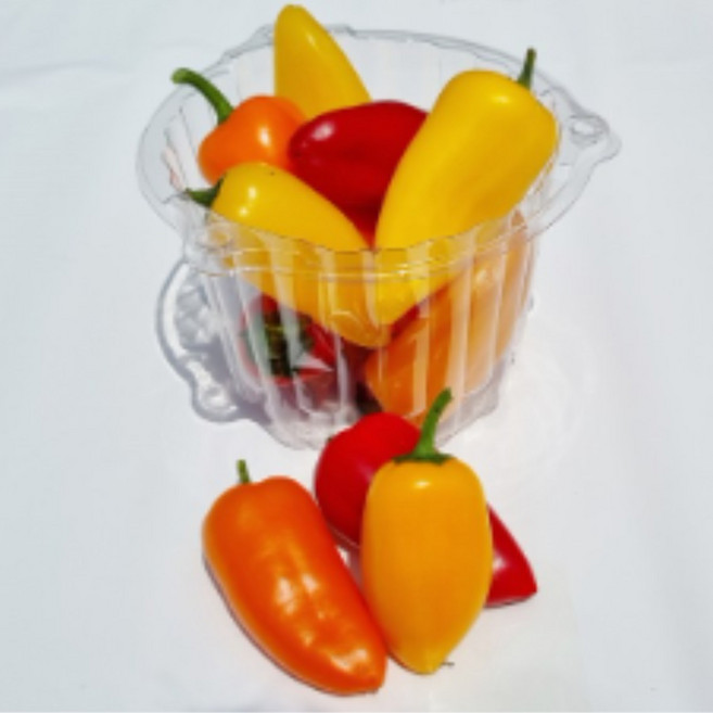 가우농산 파프리카 미니파프리카1.5kg 3kg, 미니파프리카 250g x 8팩, 8개