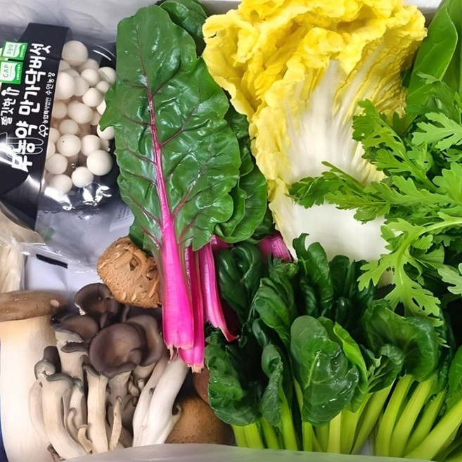 야채왕 샤브샤브 모듬야채버섯세트 1kg, 1개