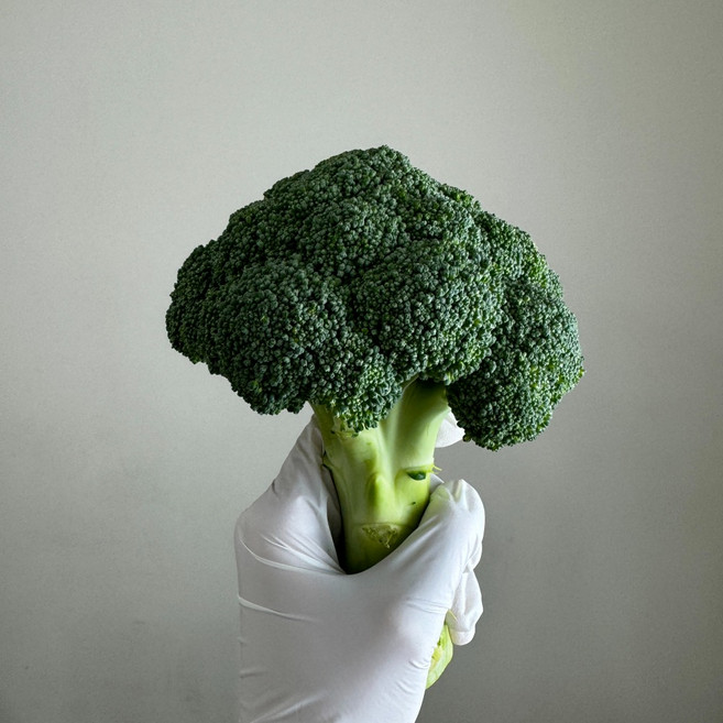 [최상품] 평창 미생물농법 브로콜리 산지직송, 1개, 1kg