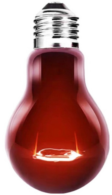 페이토 UVA 적외선 히팅램프 100W, 1개