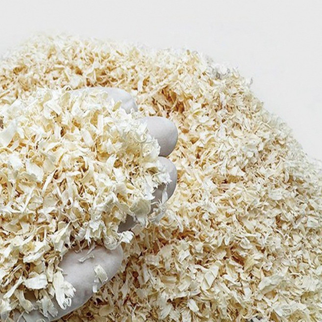 포시즌 소프트 아스펜 베딩, 3개, 400g