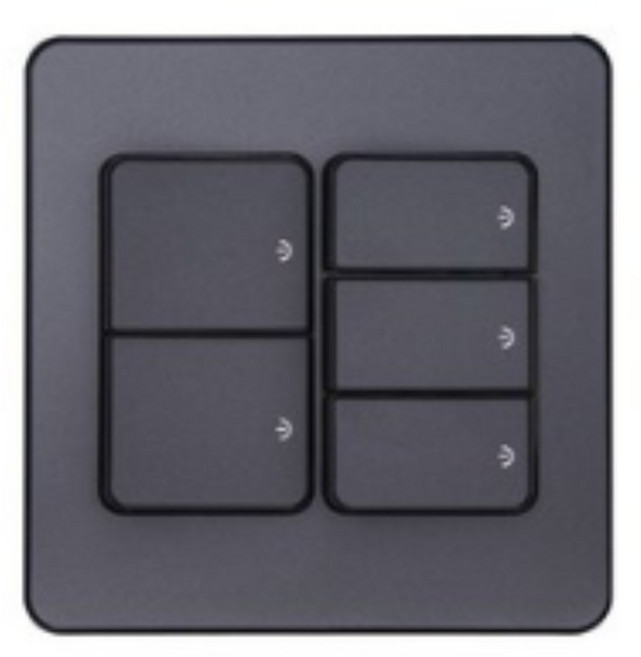 제일전기 디아트 메탈그레이 중 5구 스위치, 1개