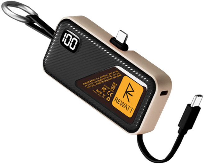 리와트 20W 도킹형 보조배터리 듀얼 고속충전 디스플레이 C타입 일체형 MP-5D, 블랙
