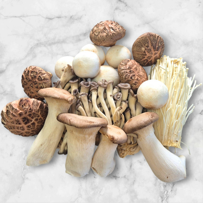 [지평농부] 프리미엄 버섯모듬세트, 1개