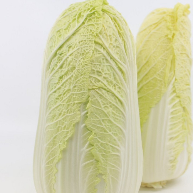 국산 유기농 알배기 배추, 1개, 2kg