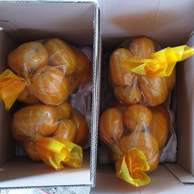 산지직송 당도선별 석군참외 성주참외 5kg 실중량, 성주참외 가정용 혼합과 5KG, 1박스