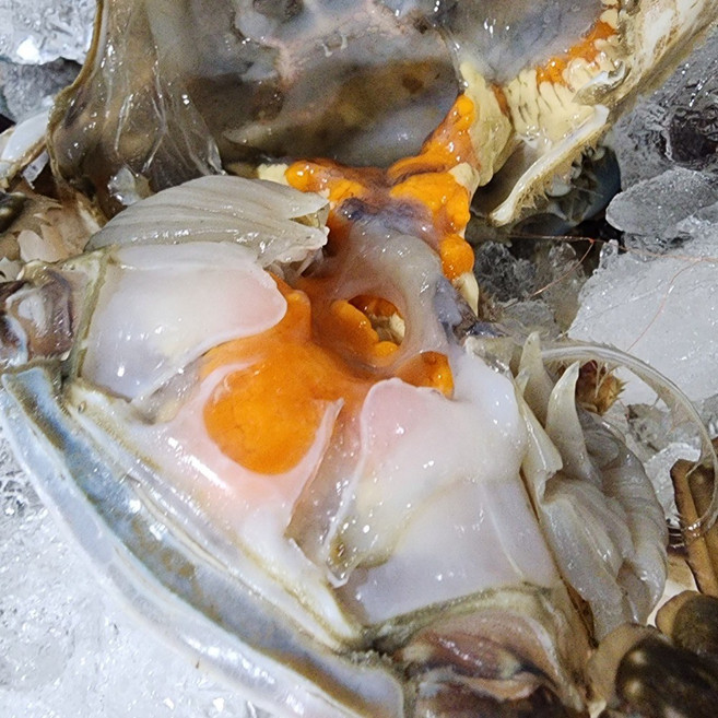 [한정기획특가]당일조업 국산 생물 암꽃게 알배기, 1박스, 2kg (활암꽃게)