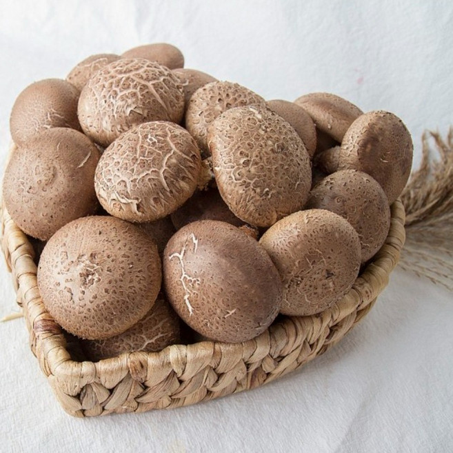 국산 싱싱한 생표고버섯 못난이, 1박스, 1kg