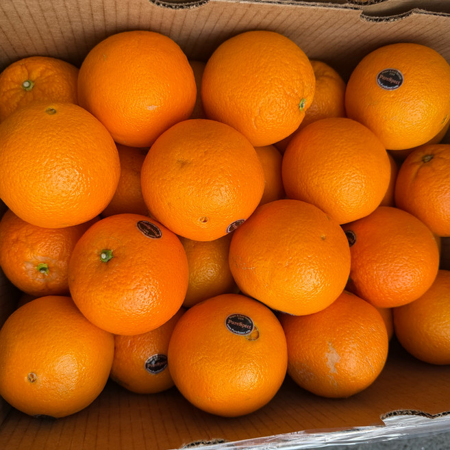 [비파괴 당도선별] 퓨어스펙 블랙라벨 오렌지, 1박스, 특대과 6kg (20과 내외)