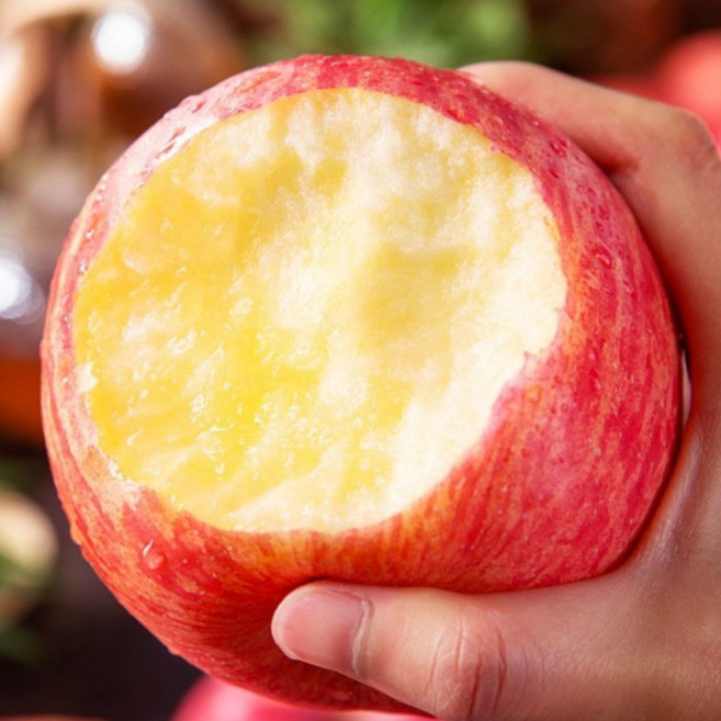 [기간한정] 제철과일 가정용 부사 대과 16brix, 1개, 5kg