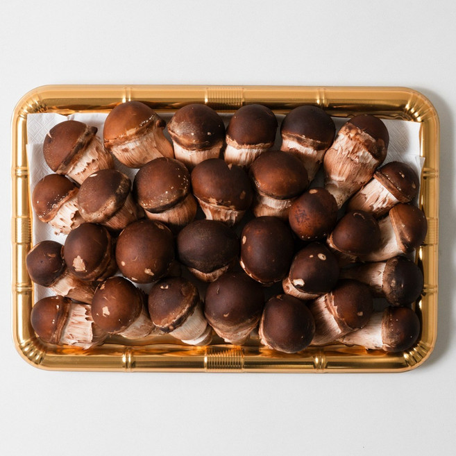 무농약/GAP 참송이버섯 연말선물 부모님지인선물, 1세트, 1KG내외 중  (A급B급)