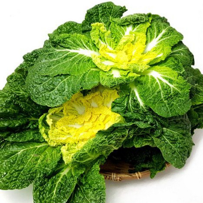 [팜팜]국내산 진도 완도 봄동, 1박스, 10kg