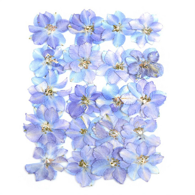 프레스코21 압화 꽃송이 락스퍼(연보라 복합/자연/대)