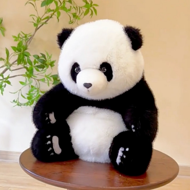 ANY마켓 아가판다 인형 동물 대형 여친 남친 푸바 선물, 아가판다 50cm